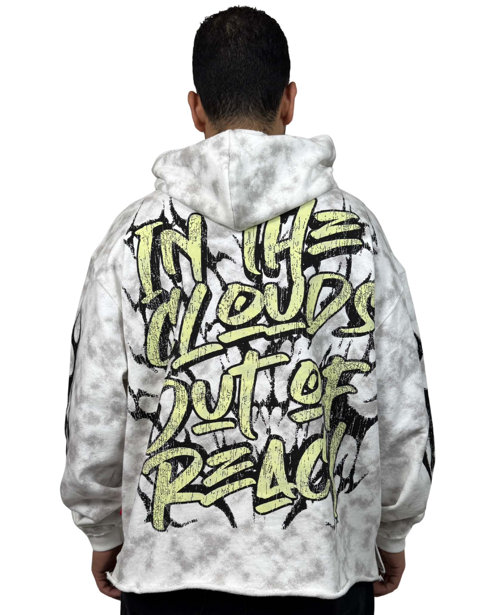 In The Cloud's Out Of Reach Hoodie